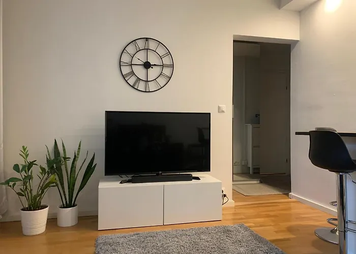 Pieni Kaksio Viihtyisaessae Martissa Turku